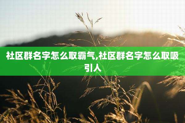 社区群名字怎么取霸气,社区群名字怎么取吸引人