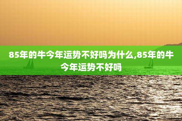 85年的牛今年运势不好吗为什么,85年的牛今年运势不好吗