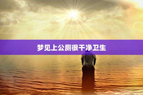 梦见上公厕很干净卫生