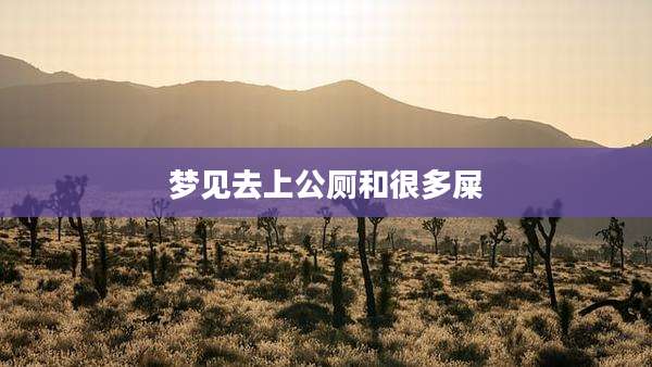 梦见去上公厕和很多屎