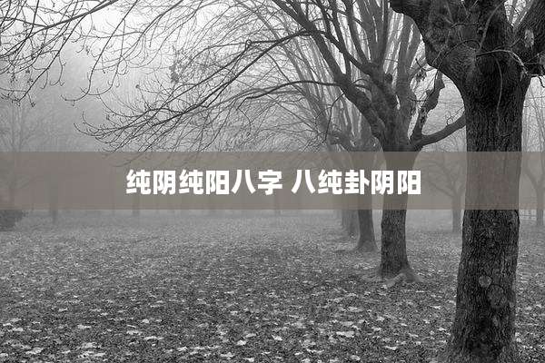 纯阴纯阳八字 八纯卦阴阳