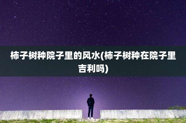 柿子树种院子里的风水(柿子树种在院子里吉利吗)