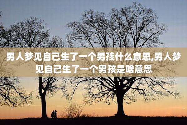 男人梦见自己生了一个男孩什么意思,男人梦见自己生了一个男孩是啥意思
