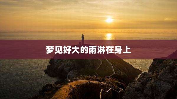 梦见好大的雨淋在身上