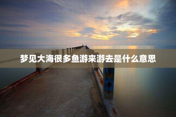 梦见大海很多鱼游来游去是什么意思