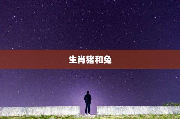 生肖猪和兔