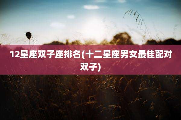 12星座双子座排名(十二星座男女最佳配对双子)