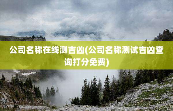 公司名称在线测吉凶(公司名称测试吉凶查询打分免费)
