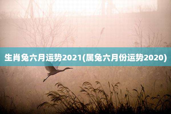 生肖兔六月运势2021(属兔六月份运势2020)