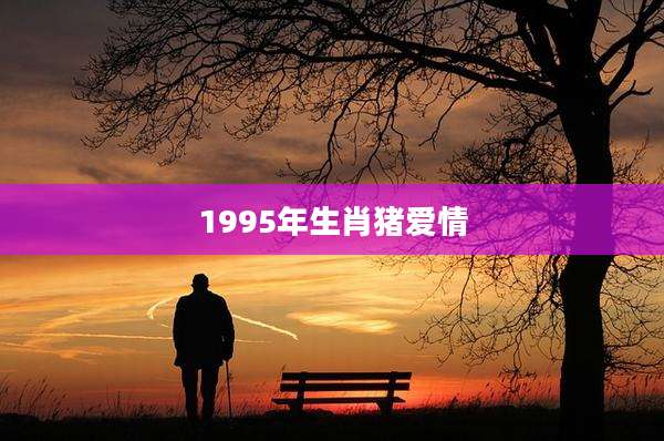 1995年生肖猪爱情