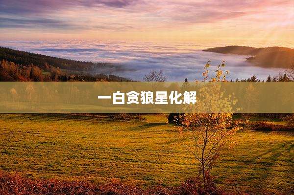 一白贪狼星化解
