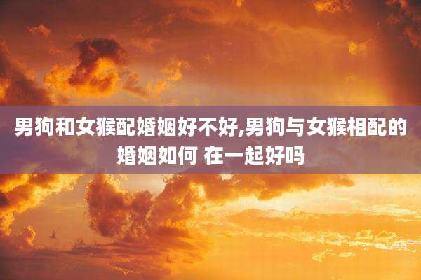 男狗和女猴配婚姻好不好,男狗与女猴相配的婚姻如何 在一起好吗