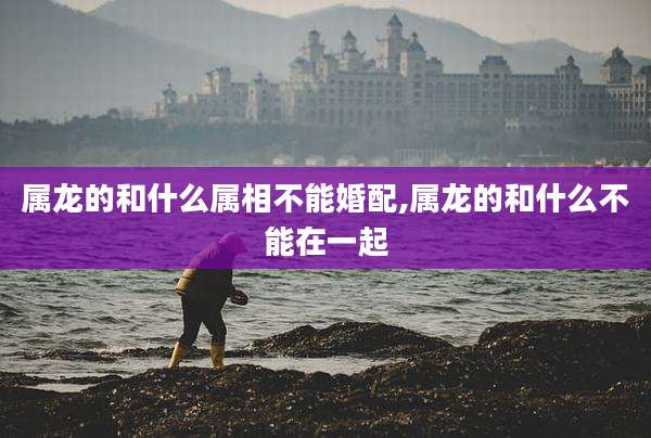 属龙的和什么属相不能婚配,属龙的和什么不能在一起