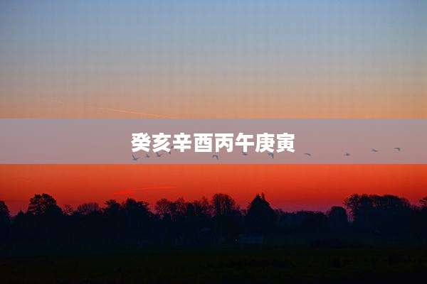 癸亥辛酉丙午庚寅