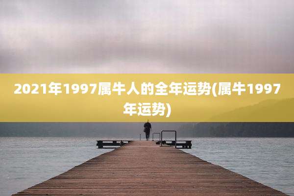 2021年1997属牛人的全年运势(属牛1997年运势)