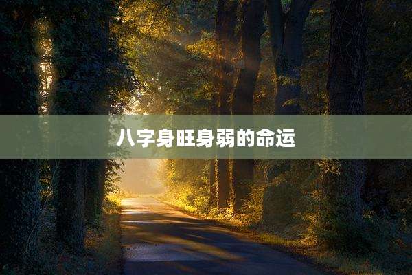 八字身旺身弱的命运