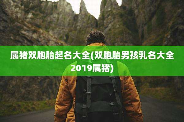属猪双胞胎起名大全(双胞胎男孩乳名大全2019属猪)