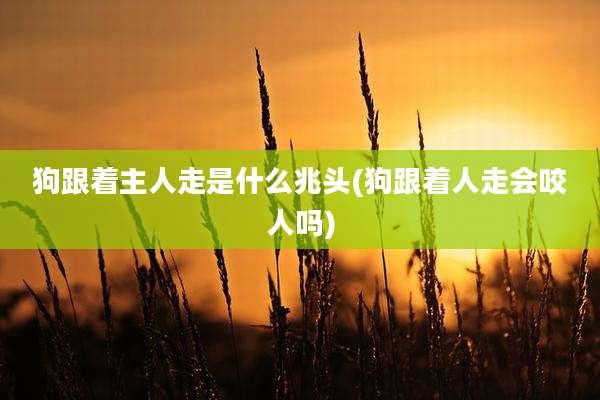 狗跟着主人走是什么兆头(狗跟着人走会咬人吗)