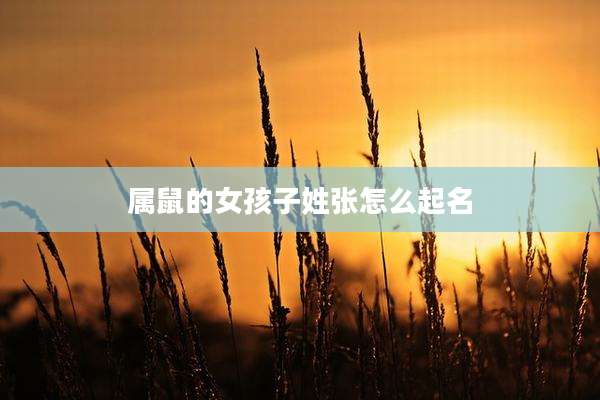 属鼠的女孩子姓张怎么起名