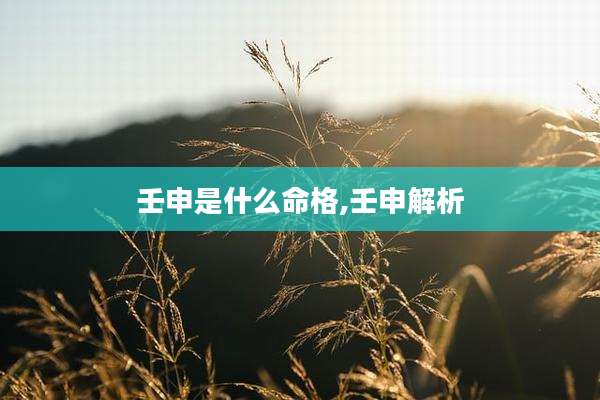 壬申是什么命格,壬申解析