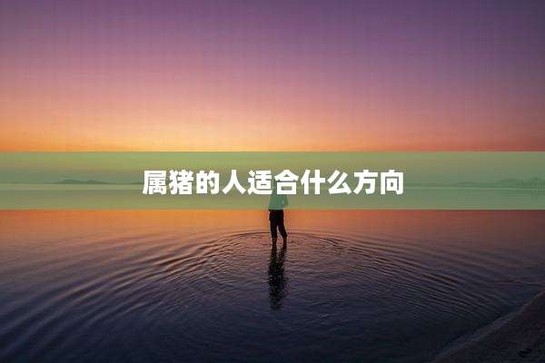属猪的人适合什么方向
