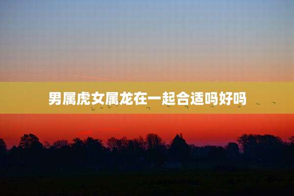 男属虎女属龙在一起合适吗好吗