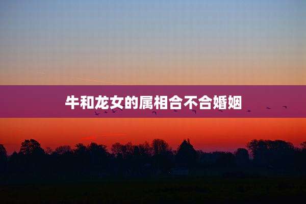 牛和龙女的属相合不合婚姻