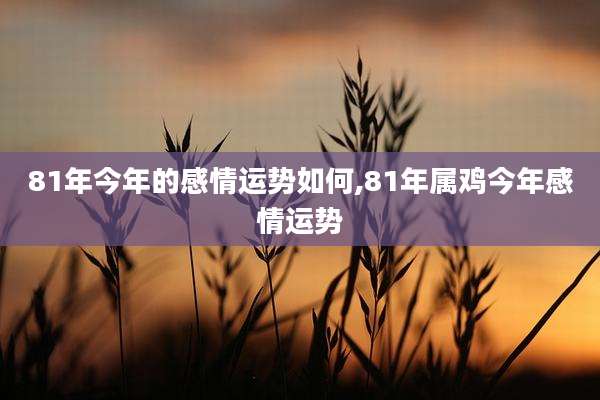 81年今年的感情运势如何,81年属鸡今年感情运势