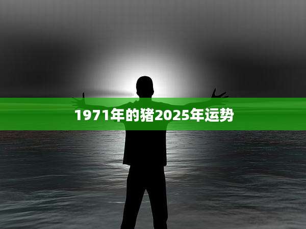 1971年的猪2025年运势