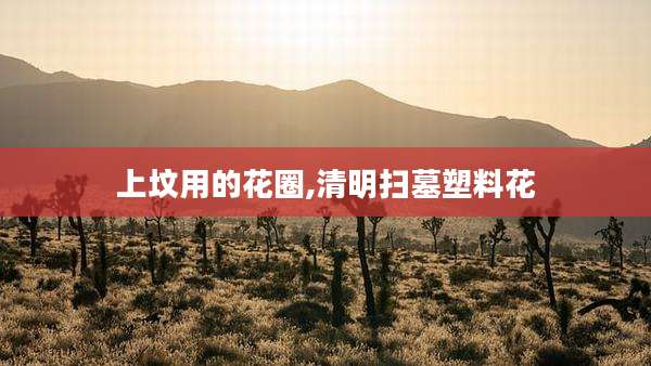 上坟用的花圈,清明扫墓塑料花