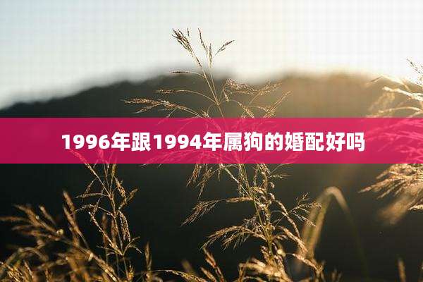 1996年跟1994年属狗的婚配好吗
