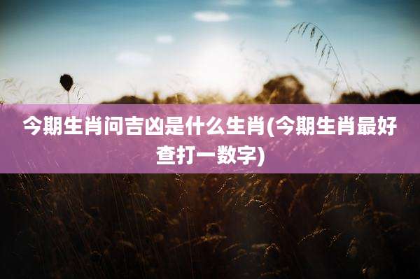今期生肖问吉凶是什么生肖(今期生肖最好查打一数字)