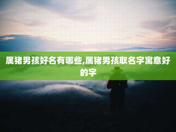 属猪男孩好名有哪些,属猪男孩取名字寓意好的字