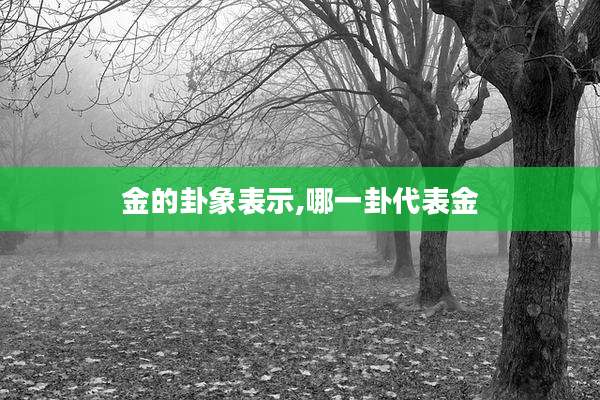 金的卦象表示,哪一卦代表金
