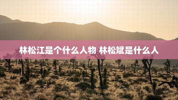 林松江是个什么人物 林松斌是什么人