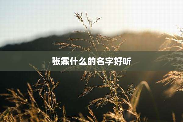 张霖什么的名字好听