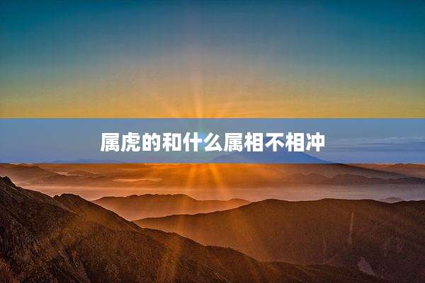 属虎的和什么属相不相冲