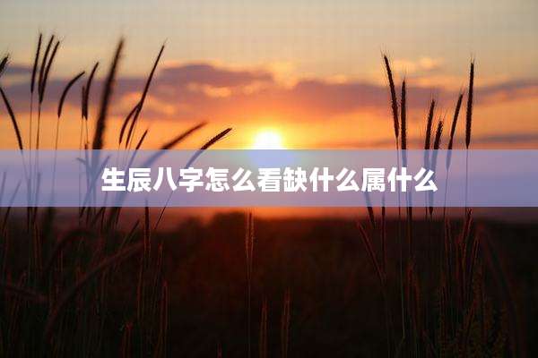 生辰八字怎么看缺什么属什么