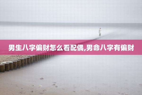 男生八字偏财怎么看配偶,男命八字有偏财