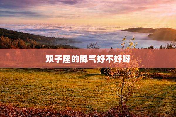 双子座的脾气好不好呀
