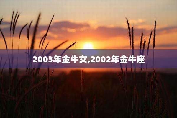 2003年金牛女,2002年金牛座