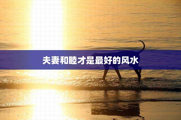 夫妻和睦才是最好的风水