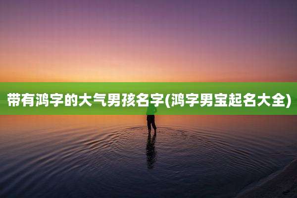 带有鸿字的大气男孩名字(鸿字男宝起名大全)