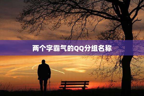 两个字霸气的QQ分组名称