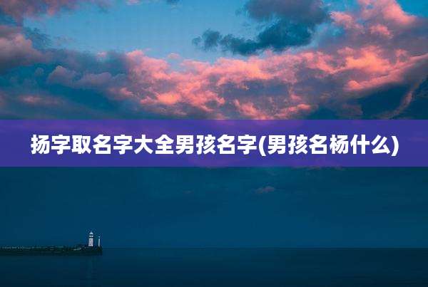 扬字取名字大全男孩名字(男孩名杨什么)