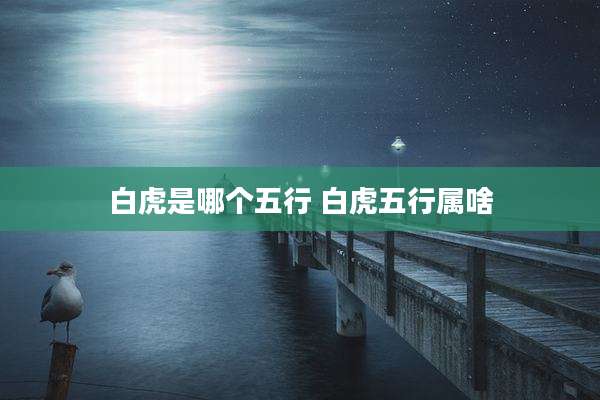白虎是哪个五行 白虎五行属啥
