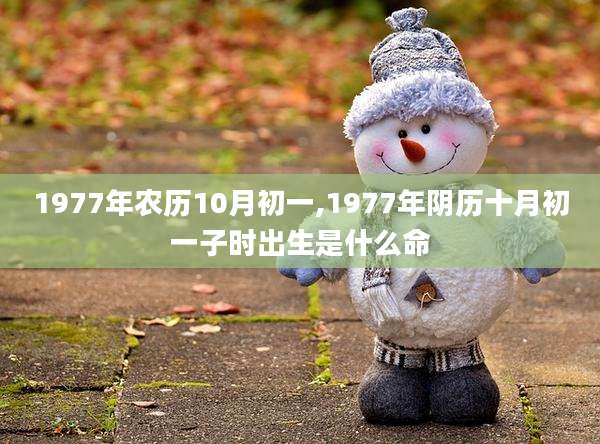 1977年农历10月初一,1977年阴历十月初一子时出生是什么命