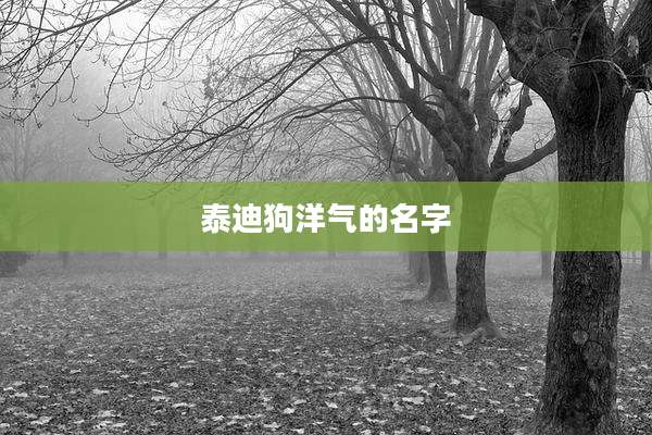 泰迪狗洋气的名字