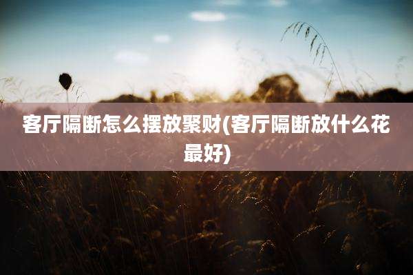 客厅隔断怎么摆放聚财(客厅隔断放什么花最好)