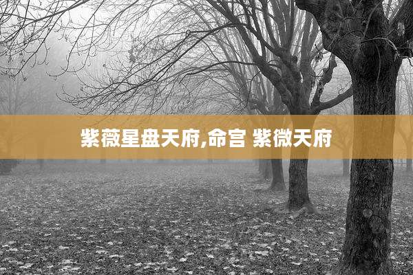 紫薇星盘天府,命宫 紫微天府